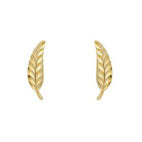 Feather Stud Earrings - in 9ct Yellow Gold